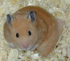 images (25)